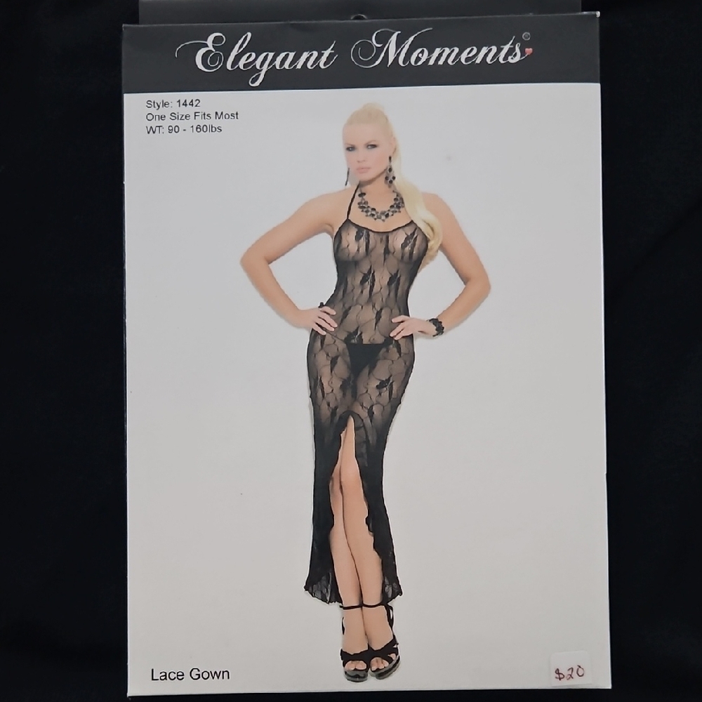Elegant Moments Sheer Black Lace Dress